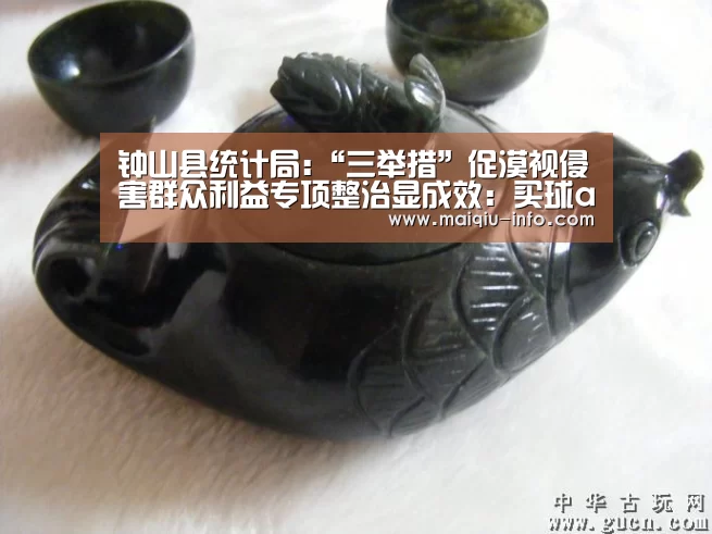 钟山县统计局:“三举措”促漠视侵害群众利益专项整治显成效:买球app官方网站下载(图2) 买球app官方网站最新版本
