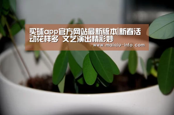 买球app官方网站最新版本|新春活动花样多 文艺演出精彩妙(图4) 买球app官方网站安卓版